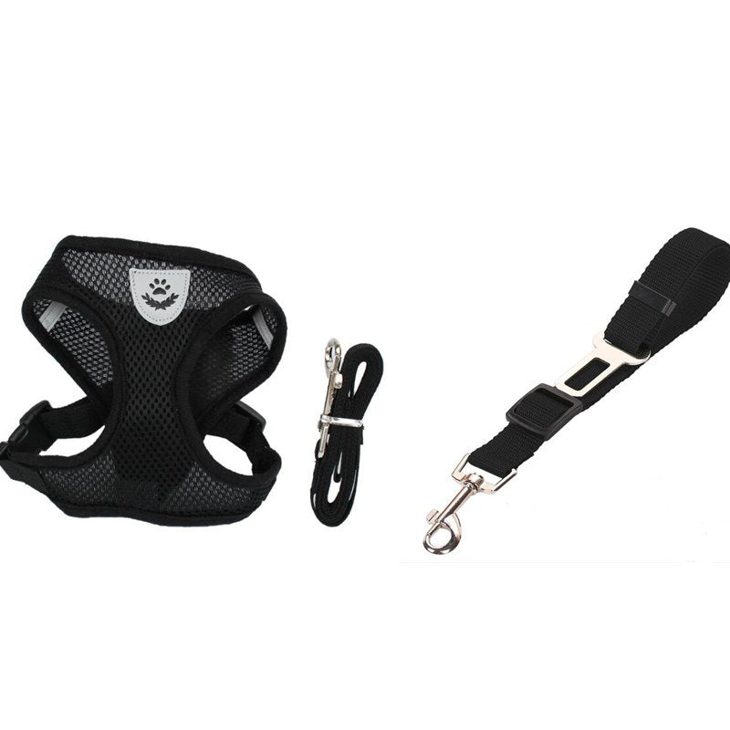 Pet Car Seat Belt & Leash – Safe and Adjustable Restraint for Dogs