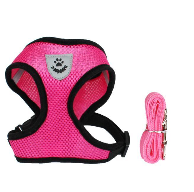 Pet Car Seat Belt & Leash – Safe and Adjustable Restraint for Dogs