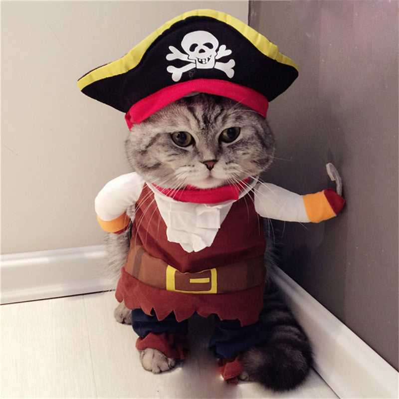 Teddy Pirate Pet Costume – Adorable Pirate Outfit for Dogs & Cats