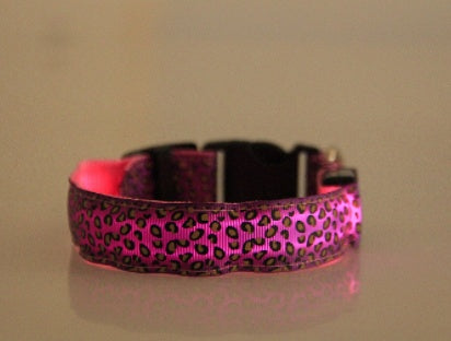 LED Dog Collar – Adjustable Nylon Safety Collar with Glow in the Dark Feature