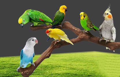 Enhance Your Parrot's Habitat with a Stand Pole for Cage