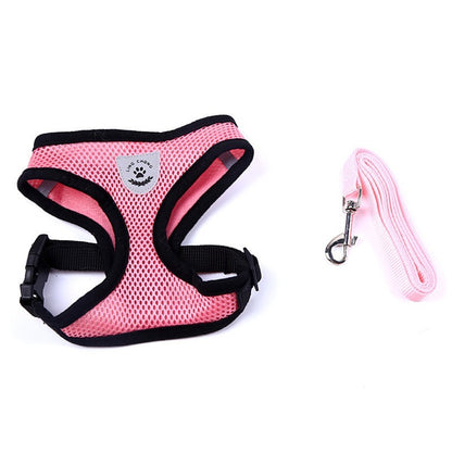 Pet Car Seat Belt & Leash – Safe and Adjustable Restraint for Dogs