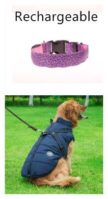 LED Dog Collar – Adjustable Nylon Safety Collar with Glow in the Dark Feature