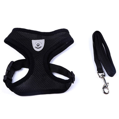 Pet Car Seat Belt & Leash – Safe and Adjustable Restraint for Dogs