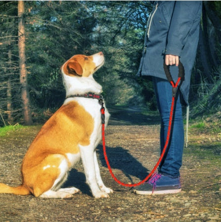 Reflective Nylon Dog Leash – Durable Rope for Small, Medium & Large Dogs