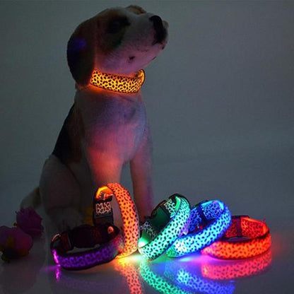 LED Dog Collar – Adjustable Nylon Safety Collar with Glow in the Dark Feature