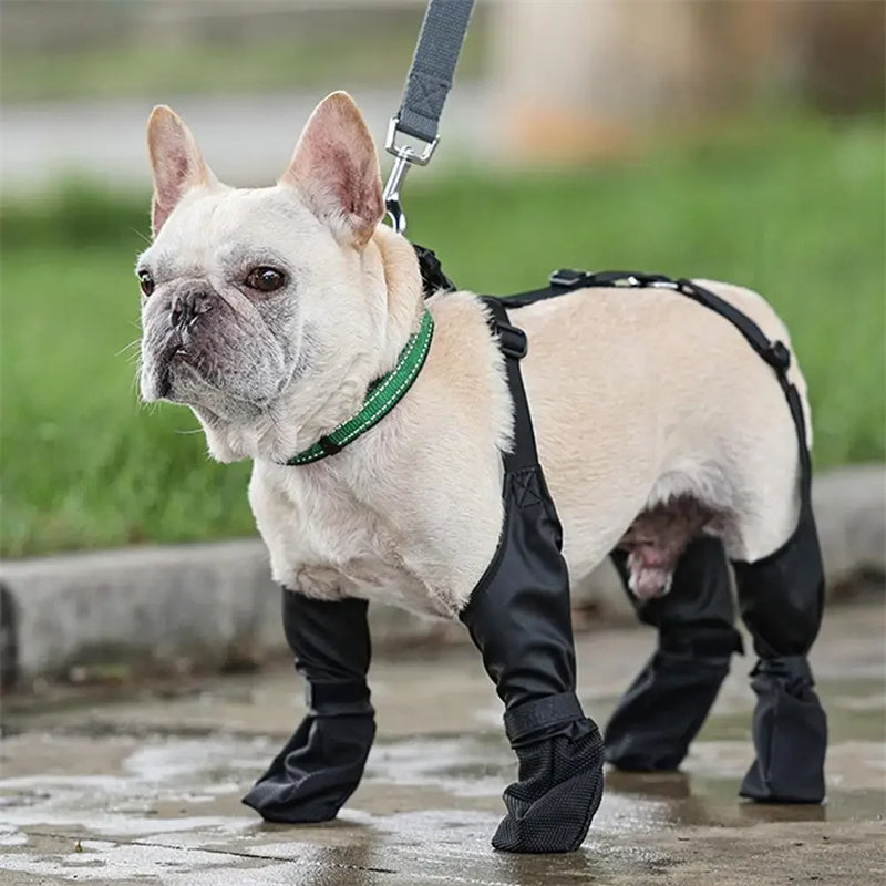 Waterproof Dog Shoes – Adjustable Breathable Boots for Outdoor Walking & Paw Protection