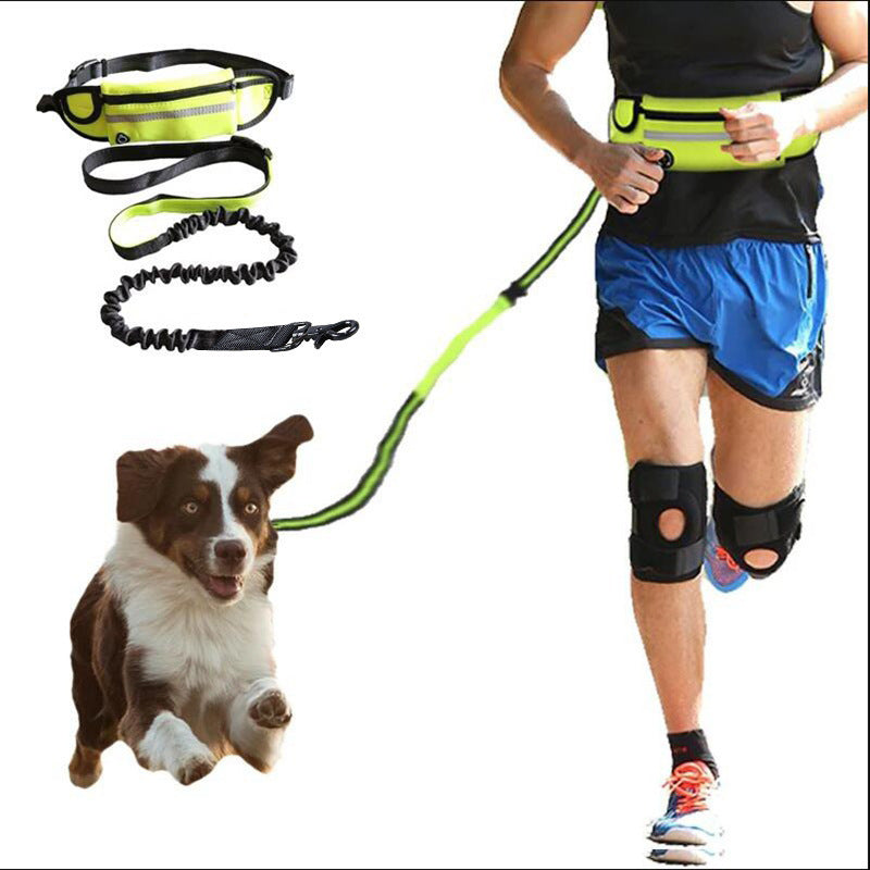 Hands-Free Dog Leash with Shock Absorbing Bungee – Adjustable Pet Walking Belt with Phone Pocket & Water Bottle Holder